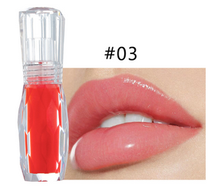 Famous Viral Glitter Lip Gloss Tiktok Lip Gloss